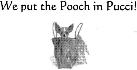 Pucci Petique