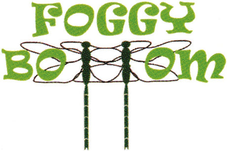 Foggy Bottom
