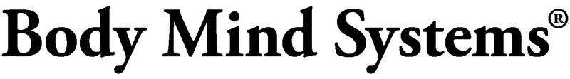 Body Mind Systems Martial Arts