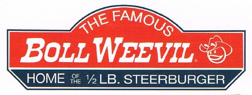 Boll Weevil